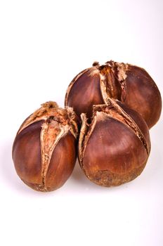 An image of roasted chestnut marron isolated. Castanea Sativa