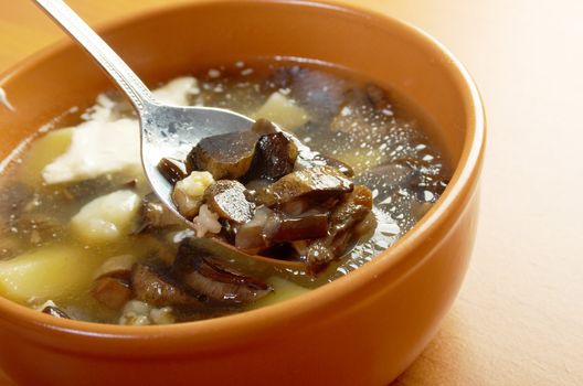 Russian sauerkraut soup with mushrooms and pearl barley.home made mushroom soup