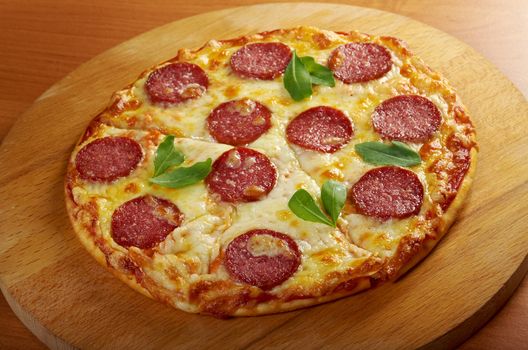 homemade pizza  Pepperoni.Closeup 