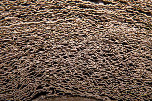An image of high quality paper background