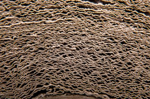 An image of high quality paper background
