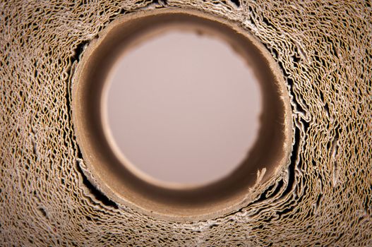 An image of high quality paper background