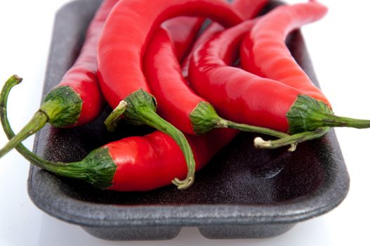 An image of red chilli pepper isolated
