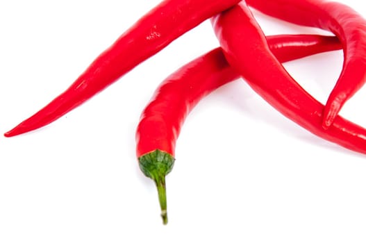 An image of red chilli pepper isolated