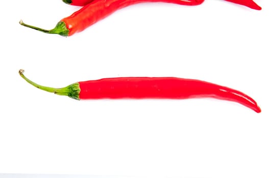 An image of red chilli pepper isolated
