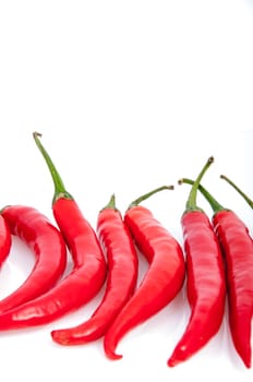 An image of red chilli pepper isolated