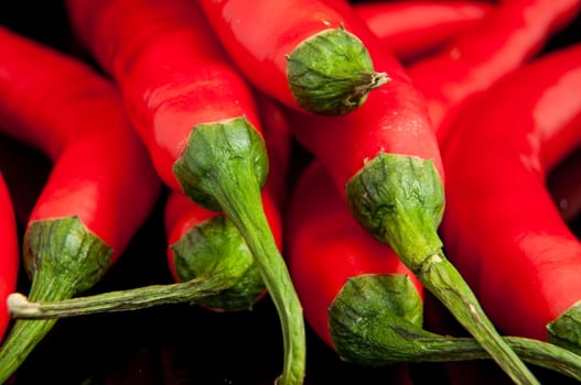 An image of red chilli pepper isolated