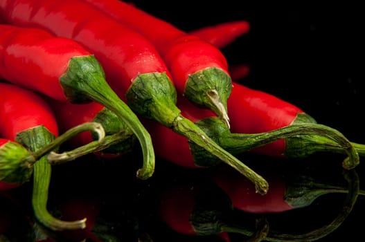 An image of red chilli pepper isolated
