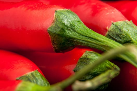 An image of red chilli pepper isolated