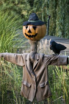 Scarecrow with Pumpkinface with Crow on the Shoulder