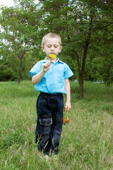 cute little boy with dandelion