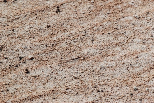 desert landscape at thailand