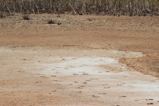 desert landscape at thailand