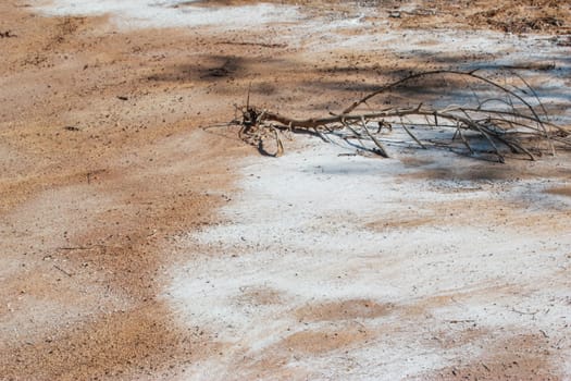 desert landscape at thailand