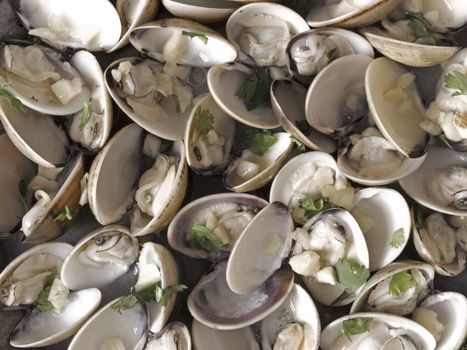 close up of white clams in white wine sauce food background