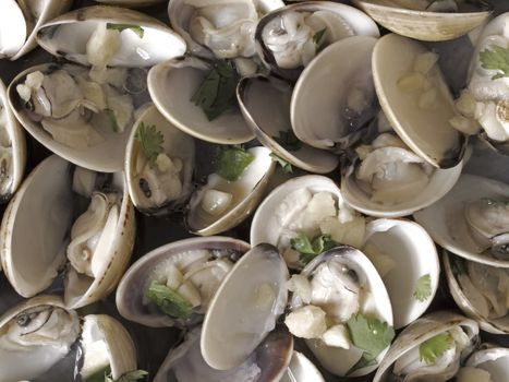 close up of white clams in white wine sauce food background