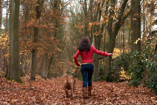 Young woman is having fun with her dog in the forest