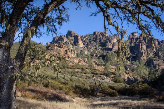 Pinnacles National Monument in California, USA.