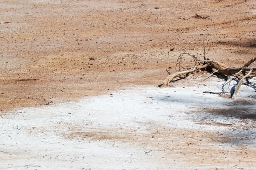 desert landscape at thailand