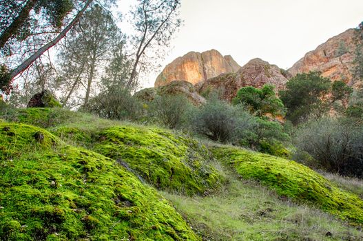 Pinnacles National Monument in California, USA.