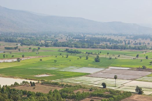 Top View of Rice Field surrounded by mountains and fog in the morning.