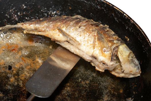 Fish in fat on a metal frying pan
