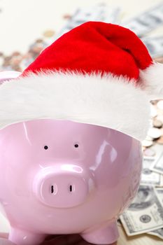 Pig in a red cap near paper money