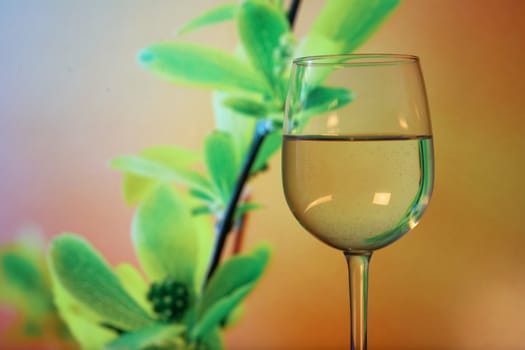 Drink in a glass glass on a background of a nature