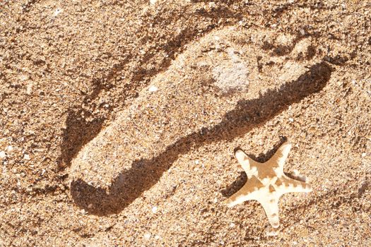 Human trace and starfish on sea sand. Beach
