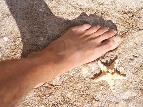 Sea star and the human foot on sea sand
