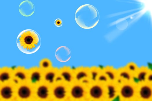 Sunflower and soap bubble on a blue background
