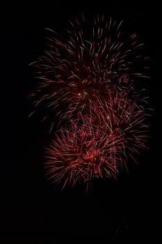 Colorful fireworks on the black sky background