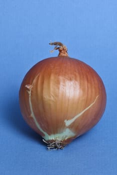 Onion on blue background