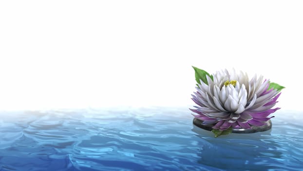 decorative holiday background flower with stone on the water