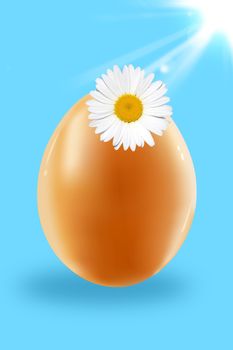 Egg and camomile on a blue background. Flower