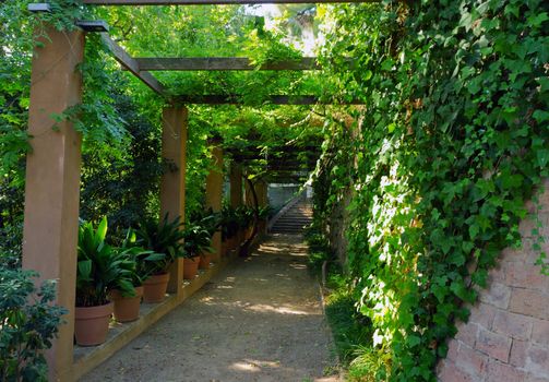 beautiful gardens with wall stone in spring