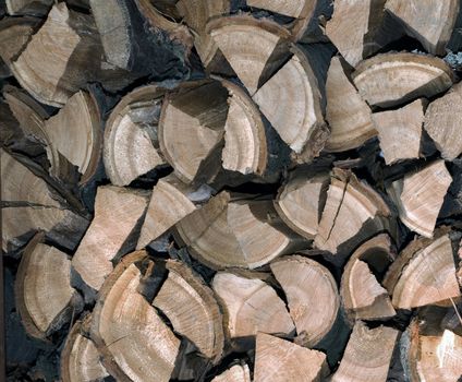firewood stack of wood in forest