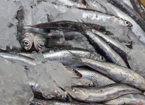 pile fresh fish in ice at the market, Barcelona, Spain