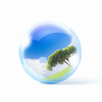 A green tree inside a transparent glass sphere