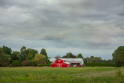 A rural landscape with farm buildings in the midst of a farmer's field