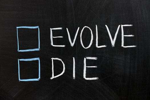 Chalk drawing - Evolve or die