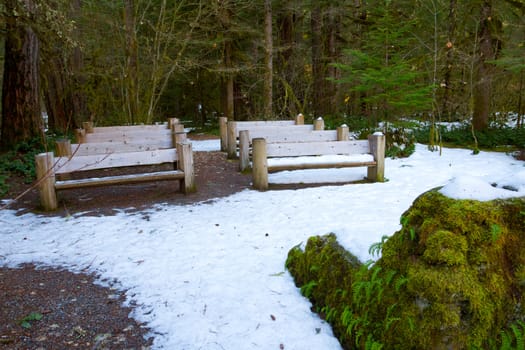 Wooden benches were built by hand and placed in this wooded setting to create an ampitheater with seating.