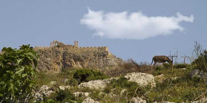 a landscape of  rhodes island 