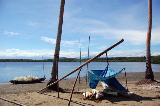 Turtules under tent in village, Papua New Guinea