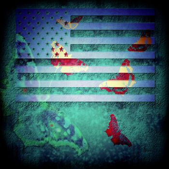 USA flag grunge abstract background in blue and butterflies