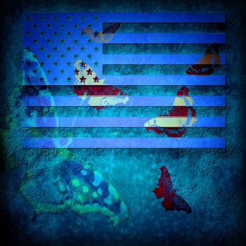 USA flag grunge abstract background with butterflies