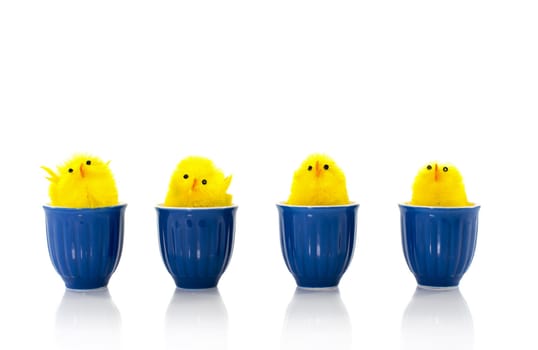 yellow easter ducks in blue egg cups