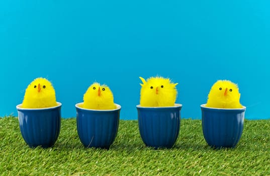 easter ducks in blue cups on green grass