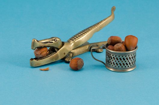 golden color steel crocodile form nut shell crush tool and small cup full of hazel nuts cubnuts on blue background.