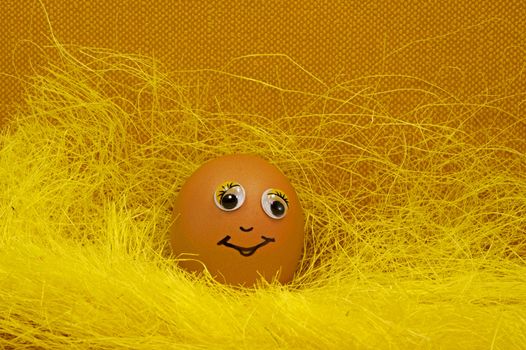 easter egg on yellow and brown background